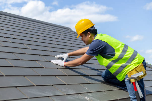 Best Roof Gutter Cleaning  in Maynardville, TN