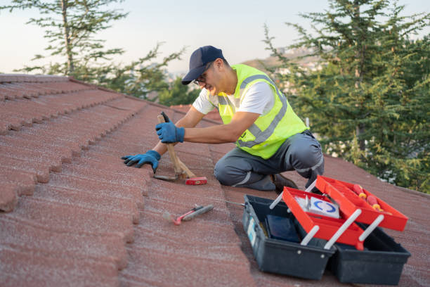 Best Roof Replacement Cost  in Maynardville, TN